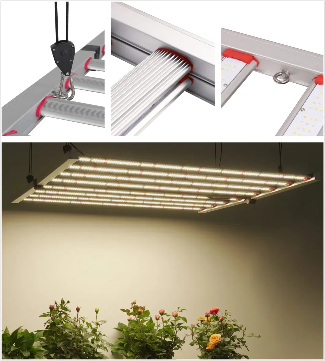 New Foldable 650W 3500K Full Spectrum LED Grow Light for Indoor Plants