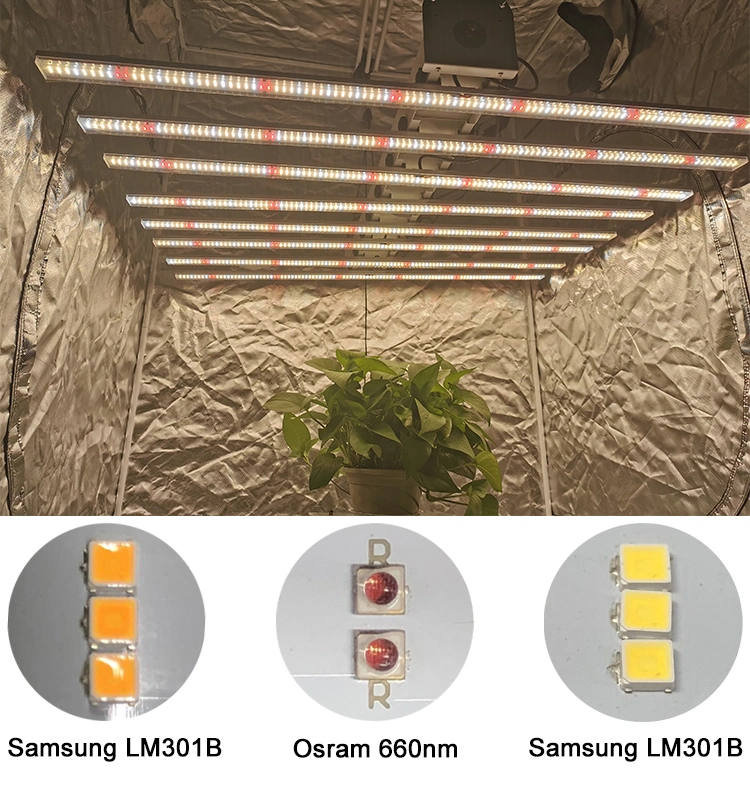 600W Full Spectrum LED Grow Light