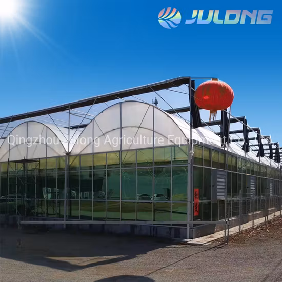 LED Grow Light LED LED Grow Light Atacado ETL listado Longood LED Grow Light Bar Estufa 650W LED Grow Light